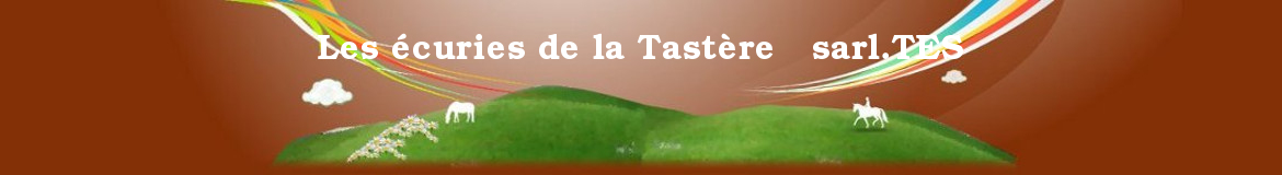 Les écuries de la Tastère sarl.TES